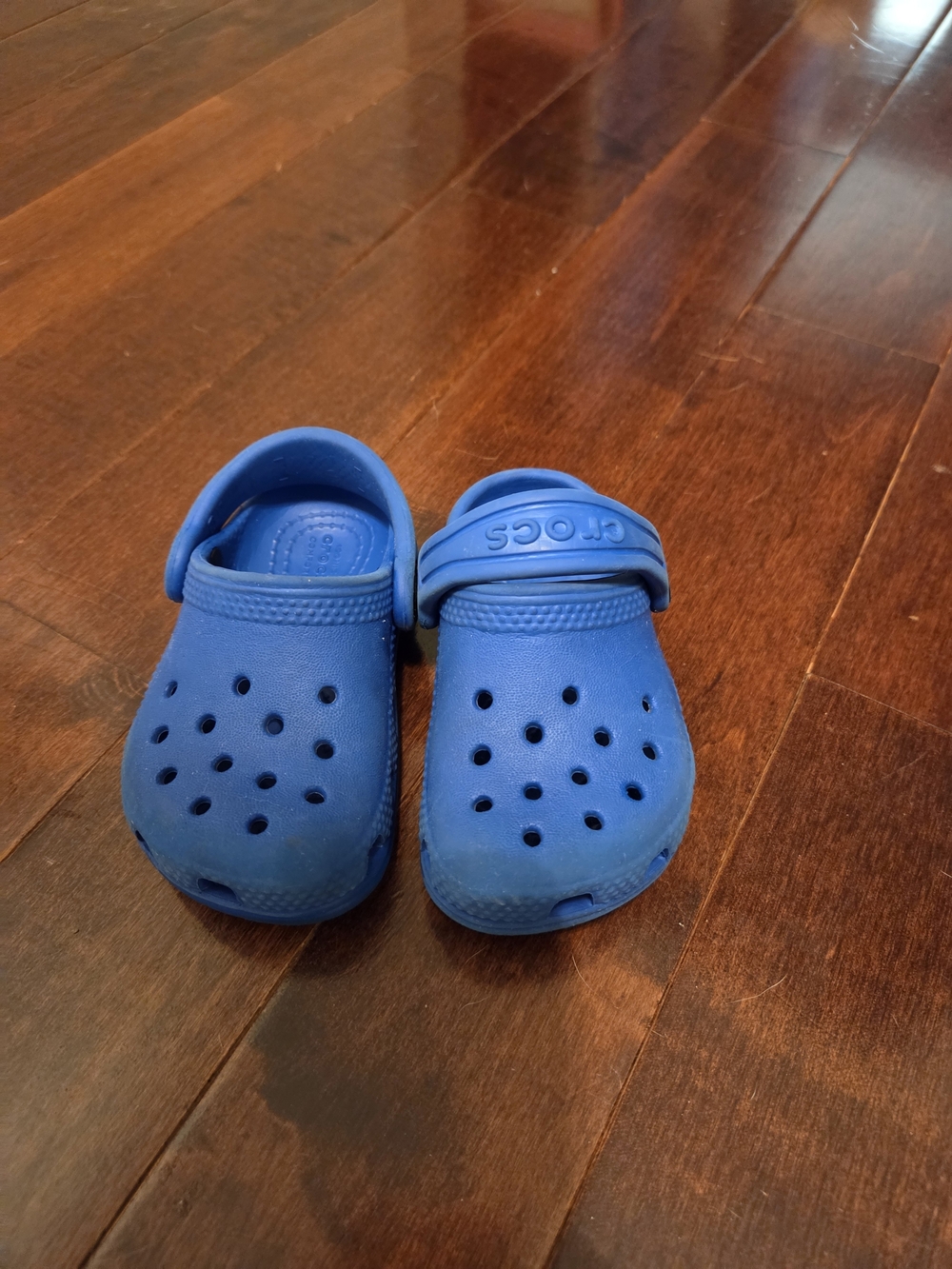 CROCS Kids Classic Clogs in Royal Blue